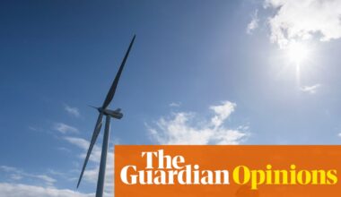 Labour faces risks on energy despite ‘record’ wind power auction | Nils Pratley