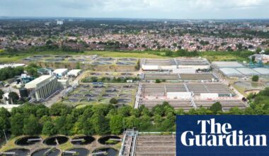 Water firms could be let off pollution fines as part of government overhaul | Environment