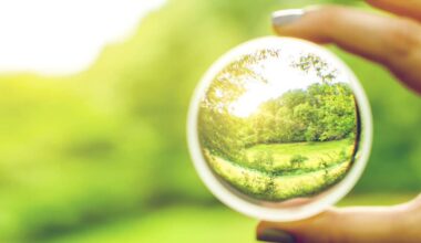 Ireland’s 2025 environmental review — and a look ahead to 2026