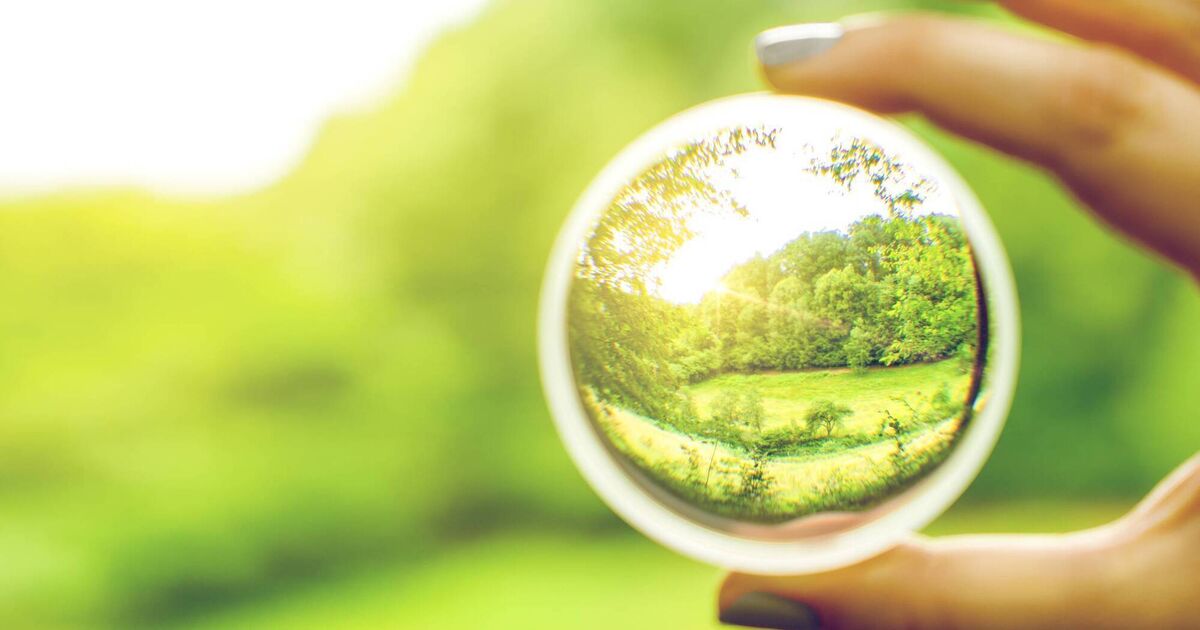 Ireland’s 2025 environmental review — and a look ahead to 2026