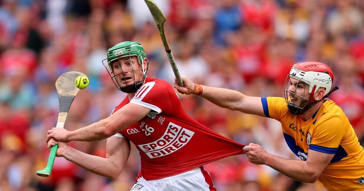 Cork jersey sales a 'best seller' as O'Neills pre-tax profits rise to €3.4m