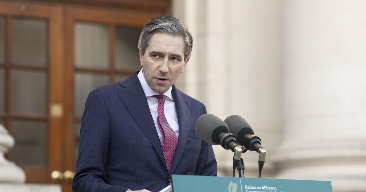 Tánaiste urged to withdraw 'dishonest and dangerous' homelessness comments