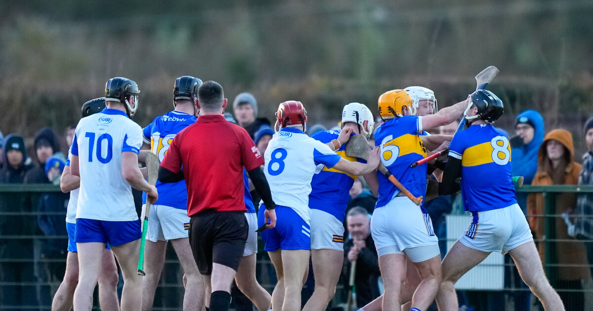 Waterford produce fightback to torment Tipperary 