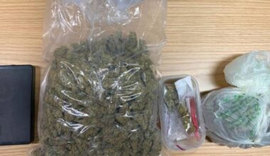 Woman released without charge following €310,600 Cork and Limerick drugs seizure