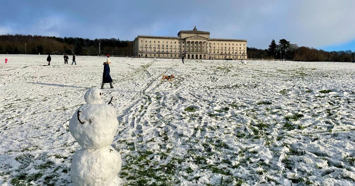 186 schools closed in Northern Ireland after weekend of snow