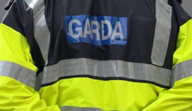 Cork man told garda 'I hope you die over Christmas' after public order arrest, court told