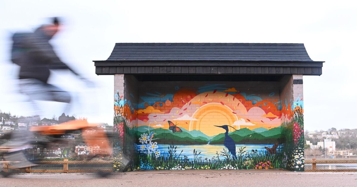 From Milan to the Marina in Cork with an impressive mural 