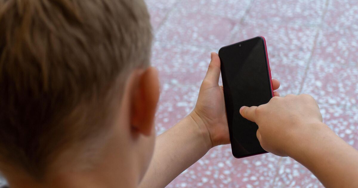 Horrific court cases show why Ireland must bring in age verification now