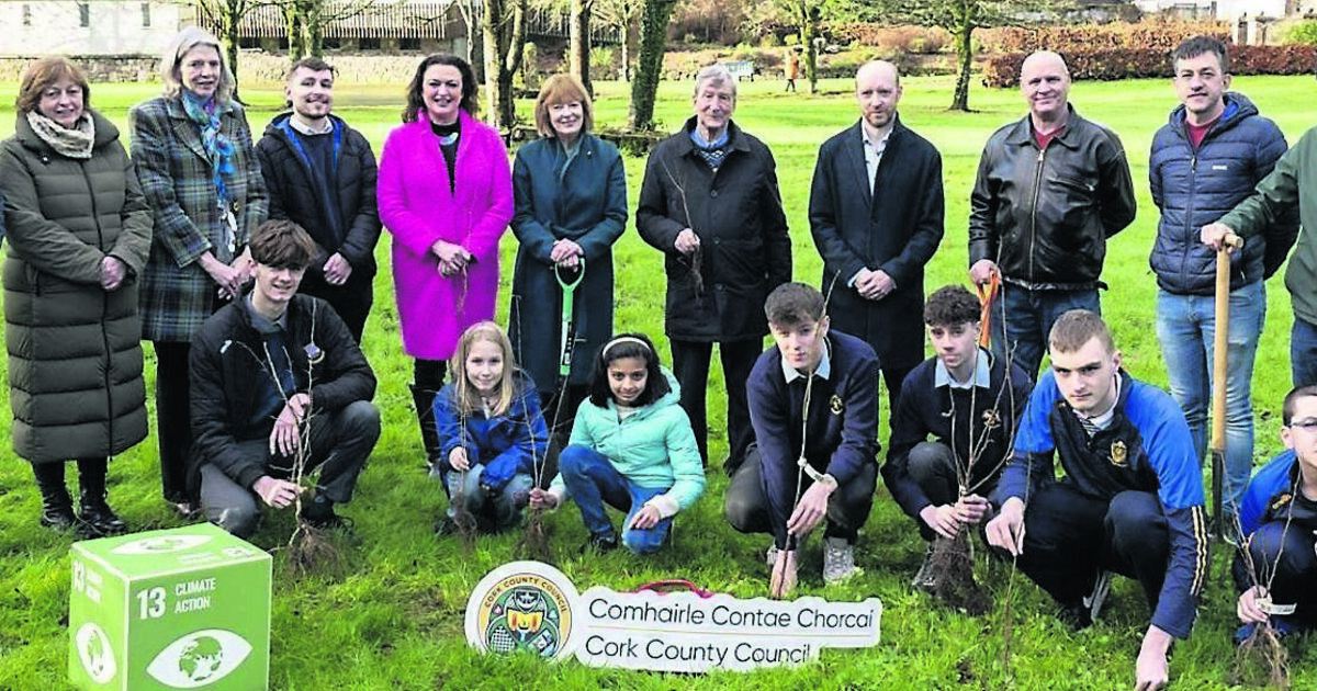 County council announces tree planting initiative for Cork schools