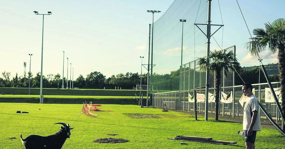 'Roy typifies so much of what I love about Cork’