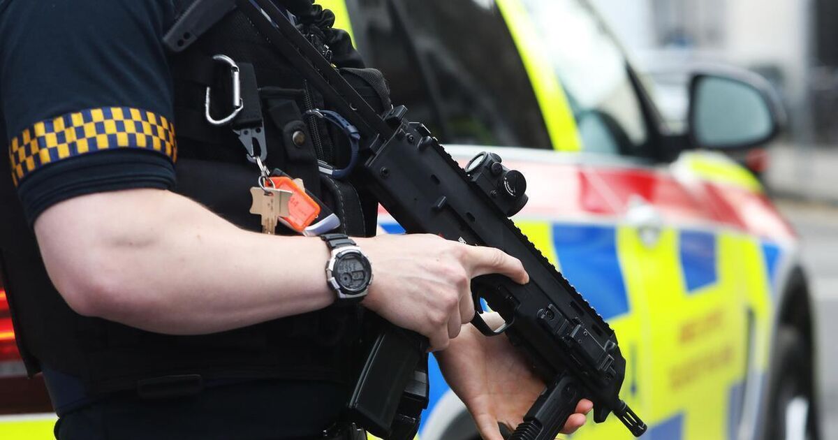 Armed gardaí aid arrest of man barricaded in store room of Cork city business