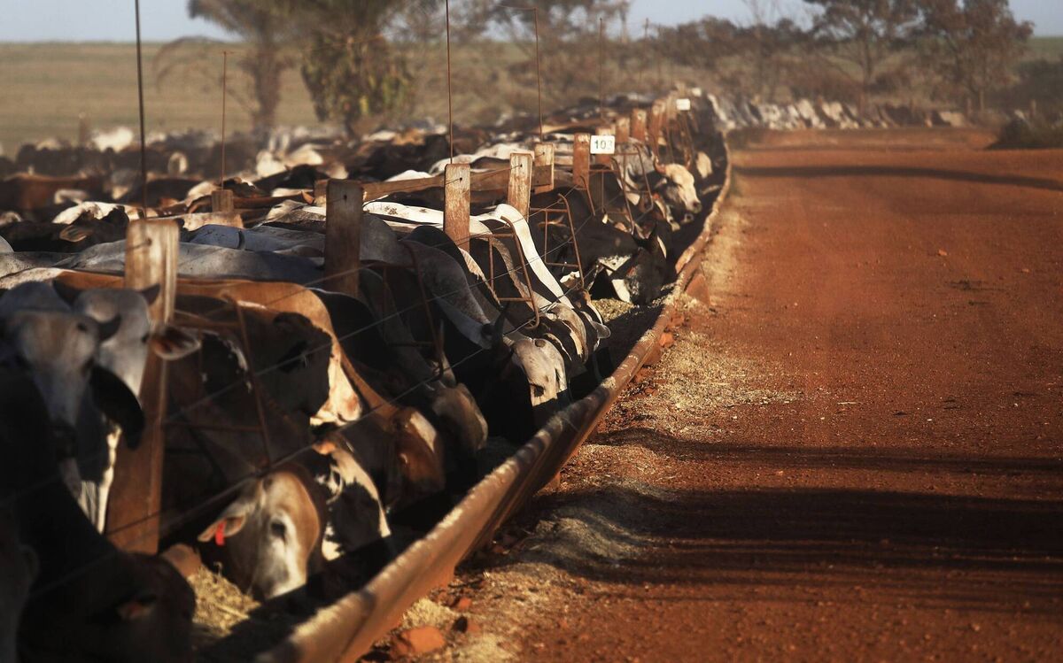 Taoiseach Micheál Martin said Ireland's opposition relates to the higher standards placed on Irish and European farmers compared to operations in South America.