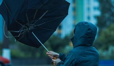 Yellow wind warning in effect for Cork this afternoon