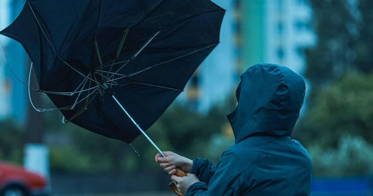Yellow wind warning in effect for Cork this afternoon