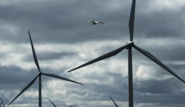 Telling the truth about Ireland’s climate future