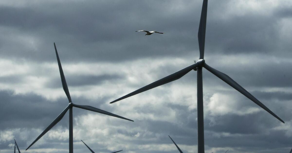 Telling the truth about Ireland’s climate future