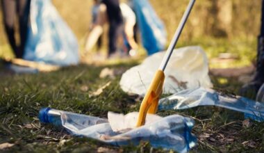Call for people convicted of illegal dumping to do litter clean-ups following 'epidemic' in North Cork