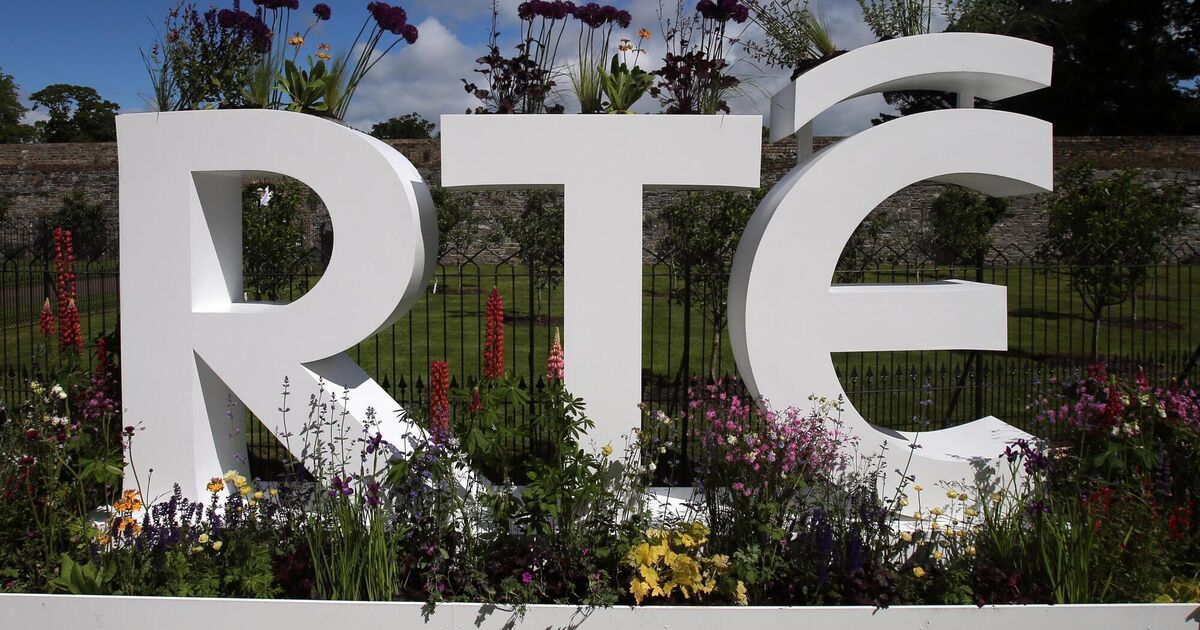 New public service broadcaster should be set up in event of united Ireland, researchers say