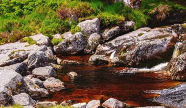 The invisible carbon in Ireland’s waters