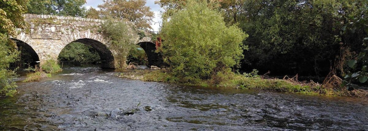 C-UISCE Project is an EPA funded, multidisciplinary project aiming to quantify the magnitude of carbon loss from land to water and the potential impacts of dissolved organic carbon (DOC) export on water quality and aquatic ecology