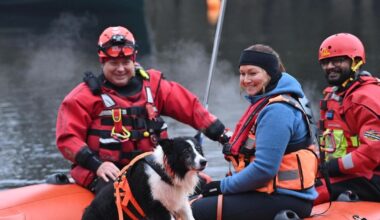 Meet Ireland’s new search and rescue dogs trained to find missing people on land and water