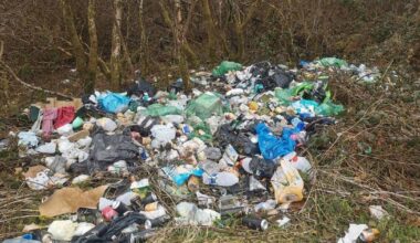Legislative changes sought to tackle 'epidemic' of illegal dumping in Cork 