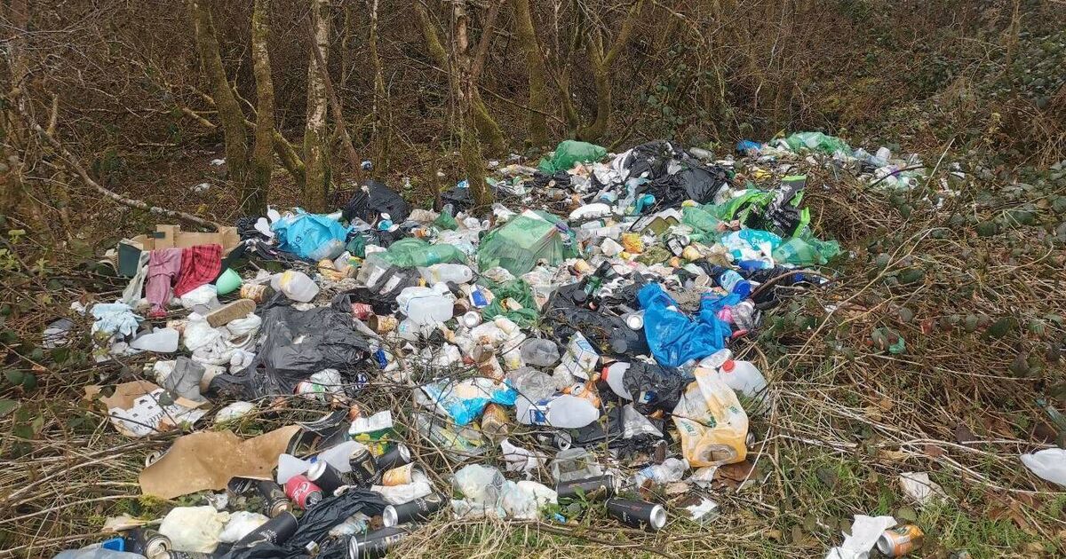 Legislative changes sought to tackle 'epidemic' of illegal dumping in Cork 