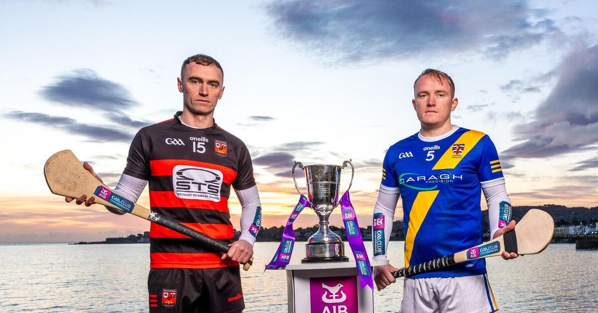 Ballygunner 'not bothered' by lack of Waterford support in All-Ireland quest, insists Pauric Mahony