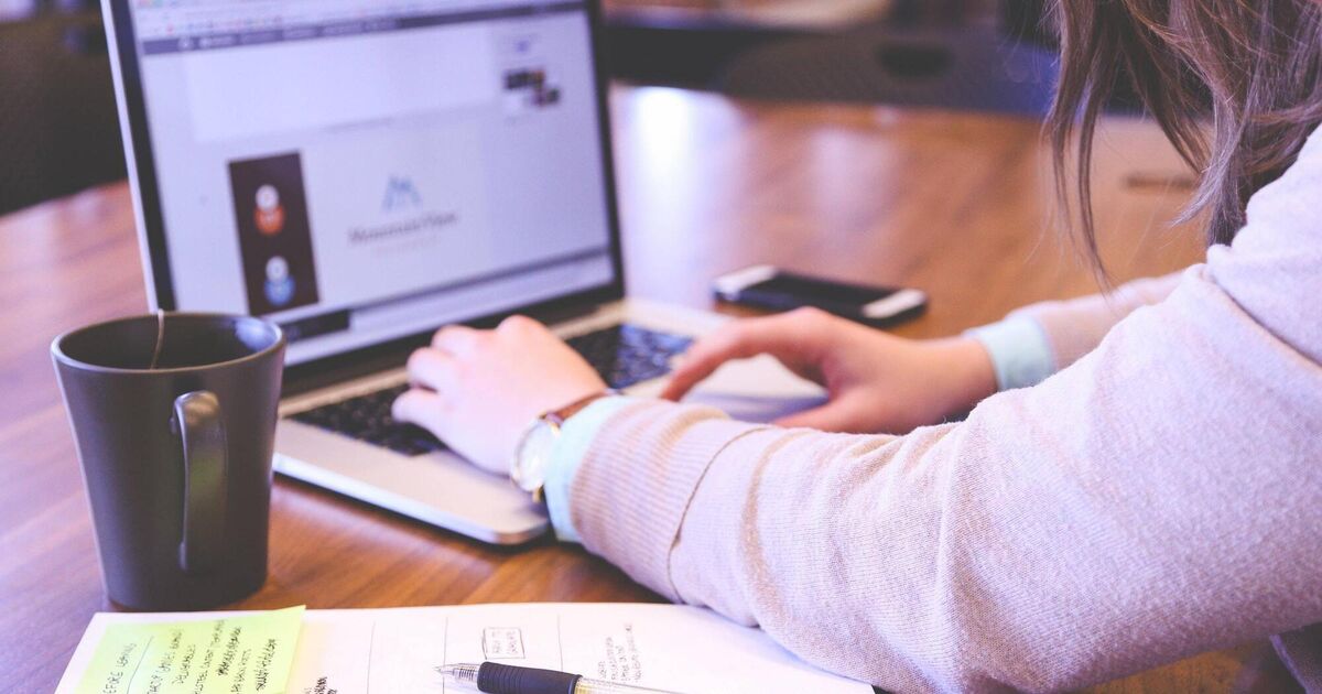 Ireland's company start-up numbers soar to 15-year high