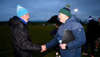 Limerick tune up for league with defeat of Waterford 