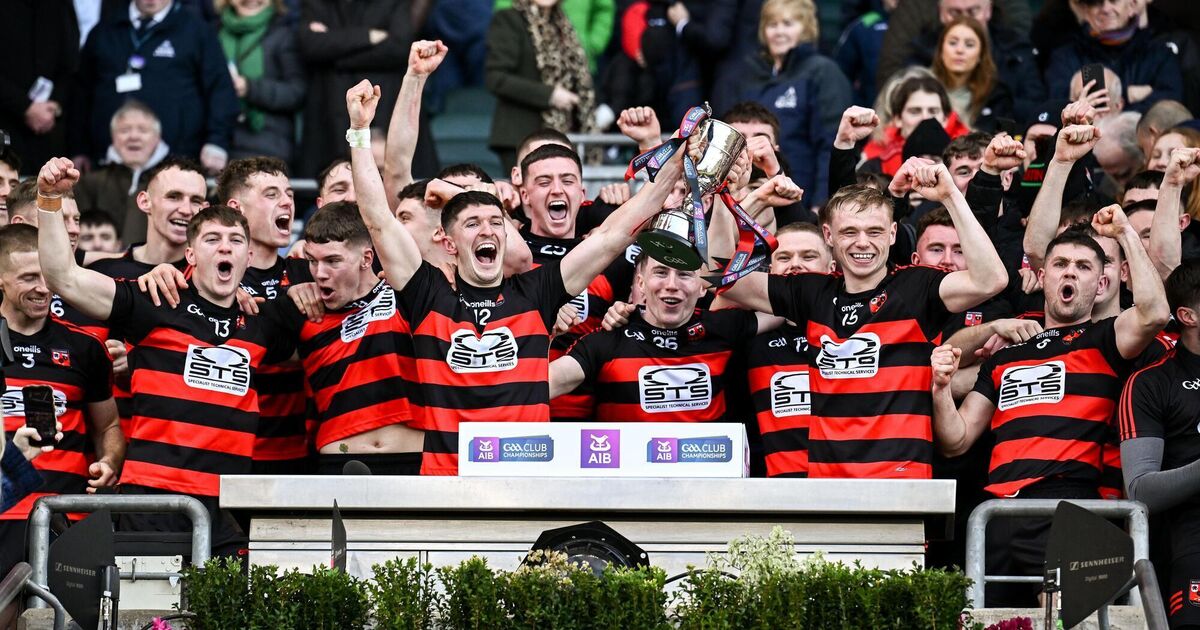 Clinical Ballygunner overcome Loughrea to secure second All-Ireland hurling title