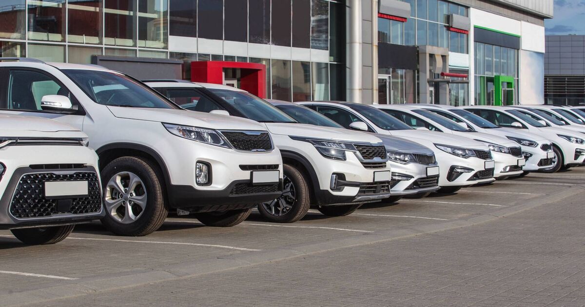 Ireland's car dealers face a changed landscape as electric vehicle sales surge