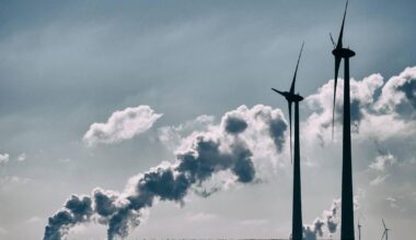 Call for Ireland to transform into EU's first 'electrostate'