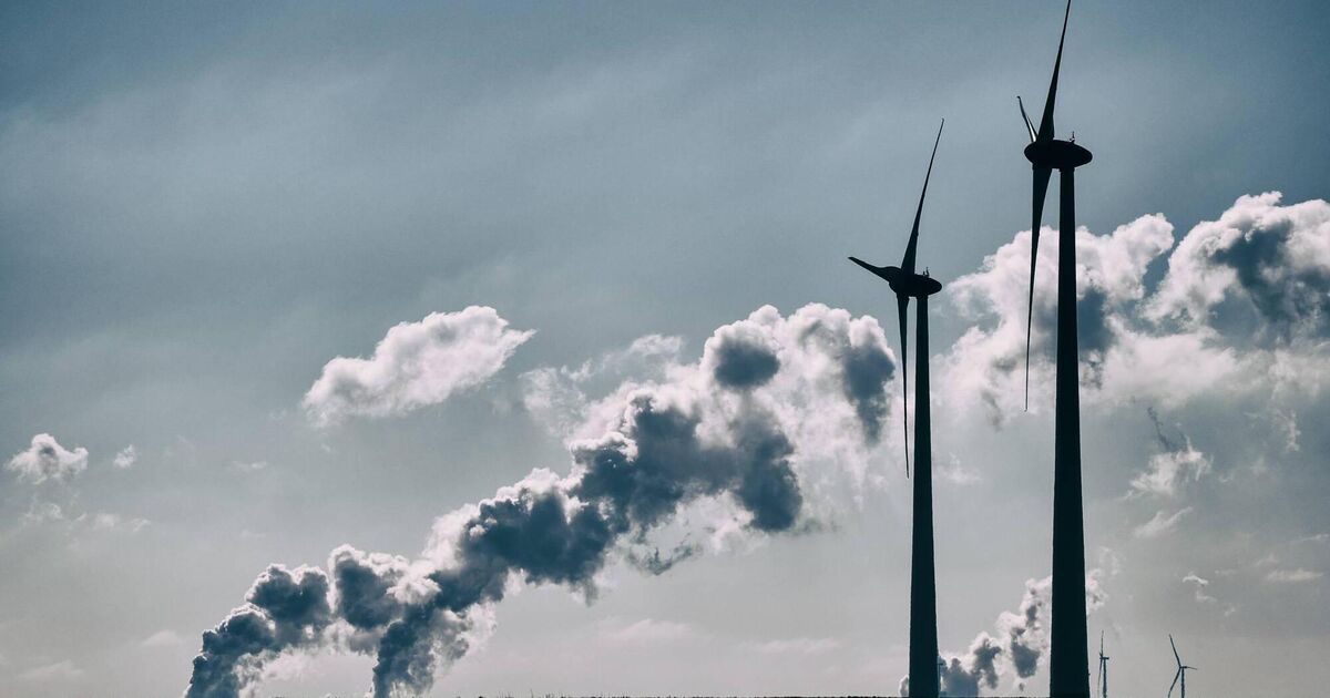 Call for Ireland to transform into EU's first 'electrostate'