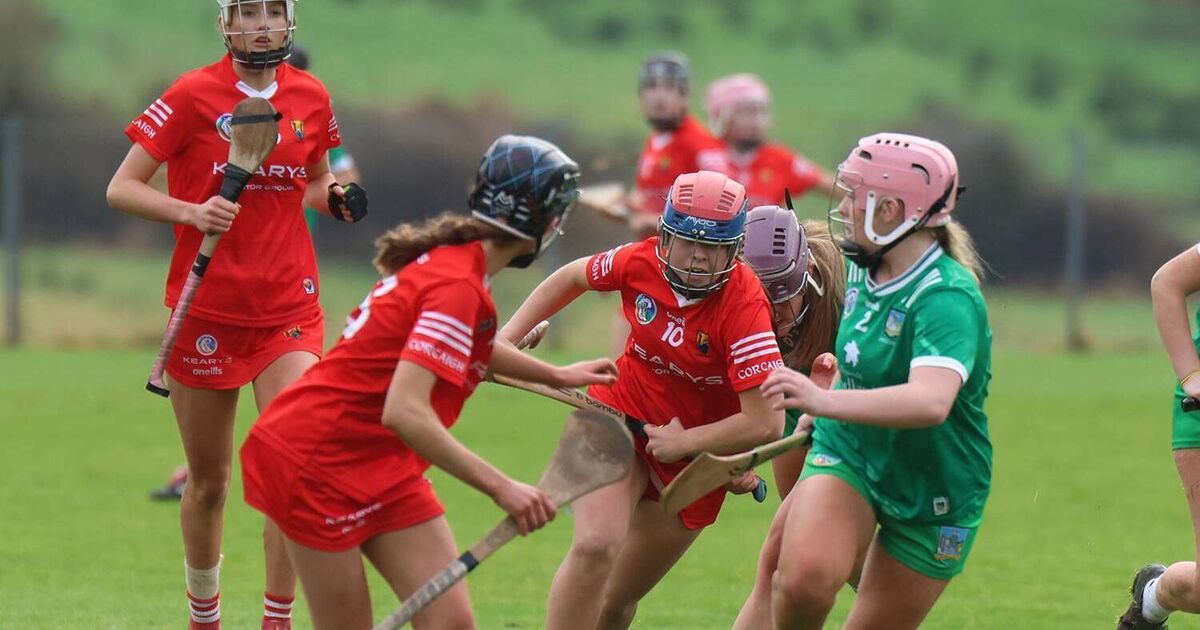 Cork crowned Munster minor camogie champions after battle with Limerick