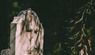 Woman 'brought to her knees with tears' at state of graveyard