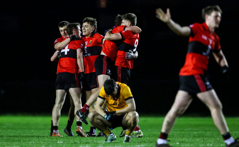 UCC celebrate after the win over DCU. Picture: INPHO/Nick Elliott