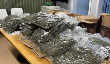 Three arrested after more than €470k of suspected cannabis siezed in Cork