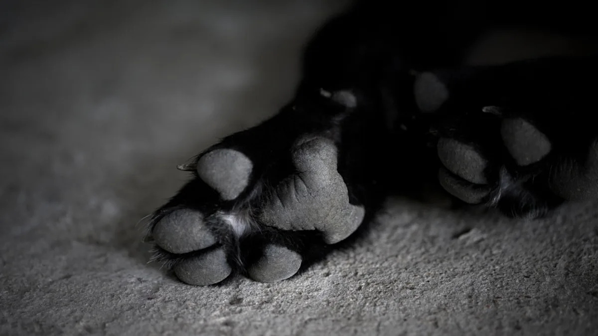 Yahoo lifestyle home