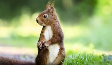 4ea8863fea724f754c2beccfd10c8282