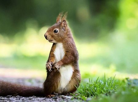 4ea8863fea724f754c2beccfd10c8282