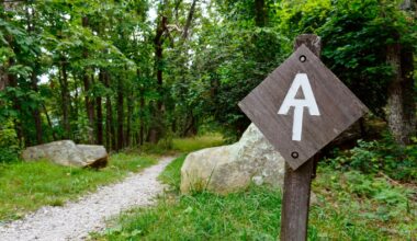 Appalachian Trail sign on a trail in the woods