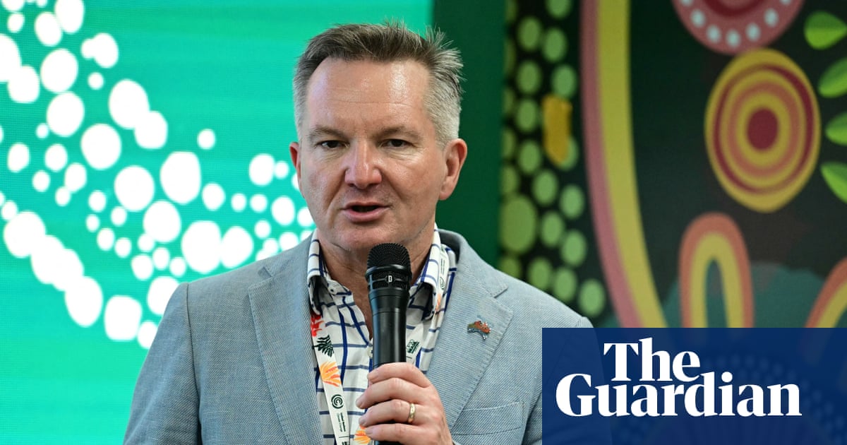 Australia’s Cop31 chief negotiator plans to lobby petrostates on fossil fuel phaseout | Cop31