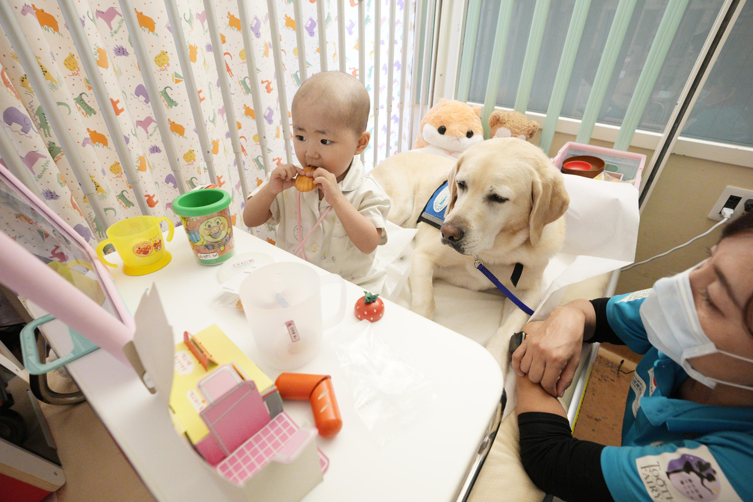 Rui Hiyama spends time with facility dog Masa at the National Center for Child Health and Development in Tokyo on Oct 23, 2025. (Photo: Kyodo)