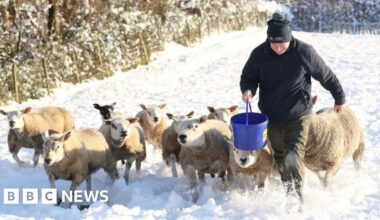 New ice warning after schools and transport disrupted