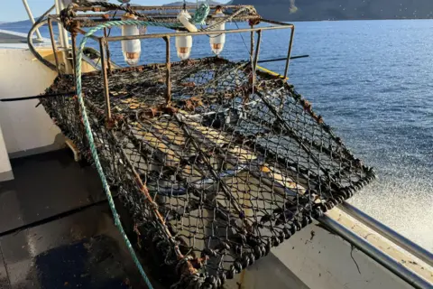 HWDT The creel pot looks like a small cage with a metal frame and wire mesh. It is balanced on the side of a boat at sea.