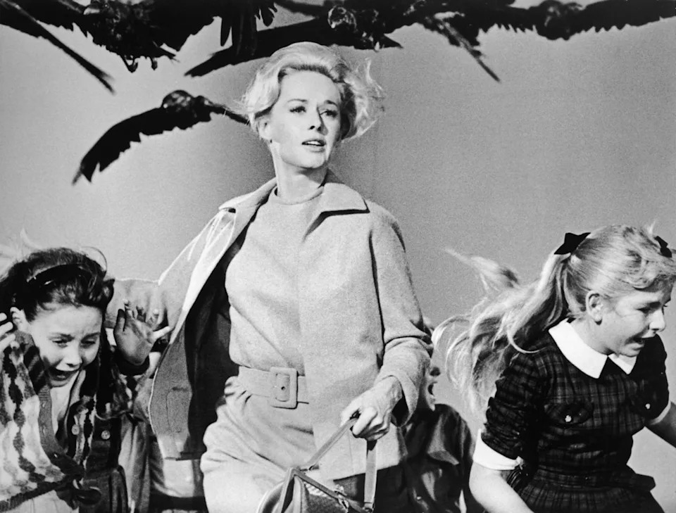 Tippi Hedren in 'The Birds' in 1963. Getty Images