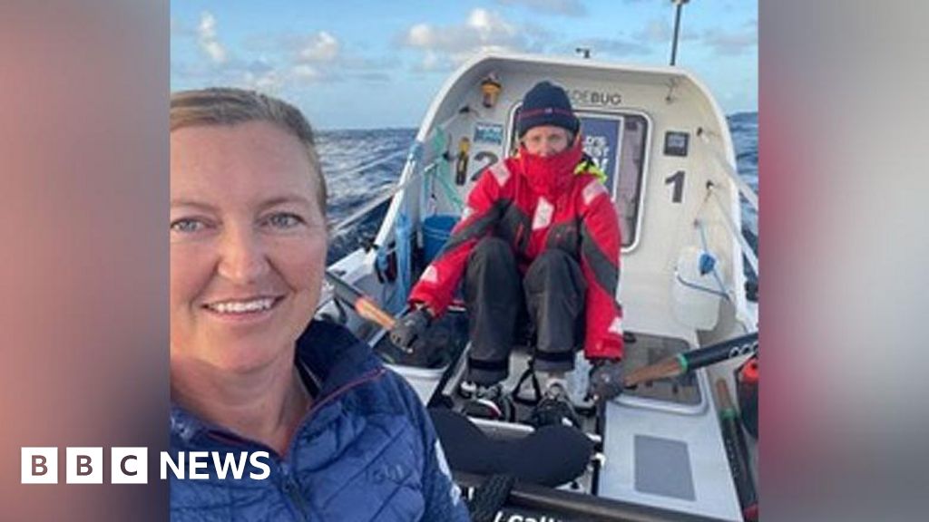 'We've rescued stricken turtle during Atlantic rowing challenge'