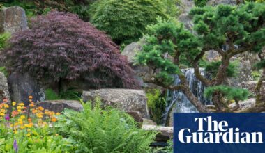 RHS unveils plans to protect UK gardens from future water shortages | Water