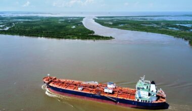 How to deal with breaks in lower Mississippi River banks? | Environment